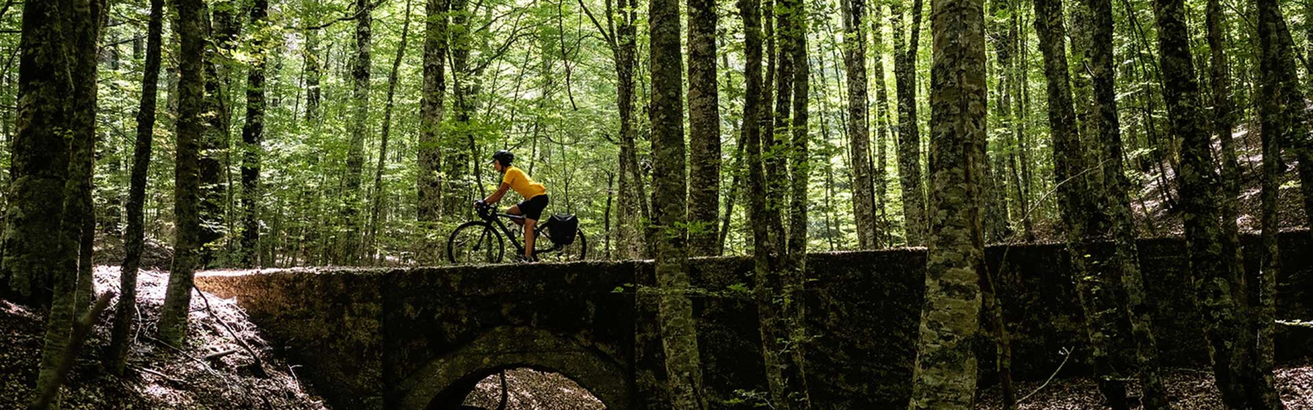 Elisa Gallo in Aspromonte, sulla Ciclovia dei Parchi